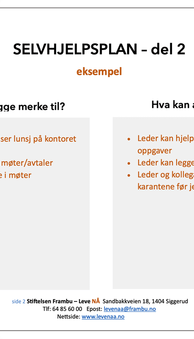 Eksempel på en selvhjelpsplan med kolonner for observasjoner og tiltak