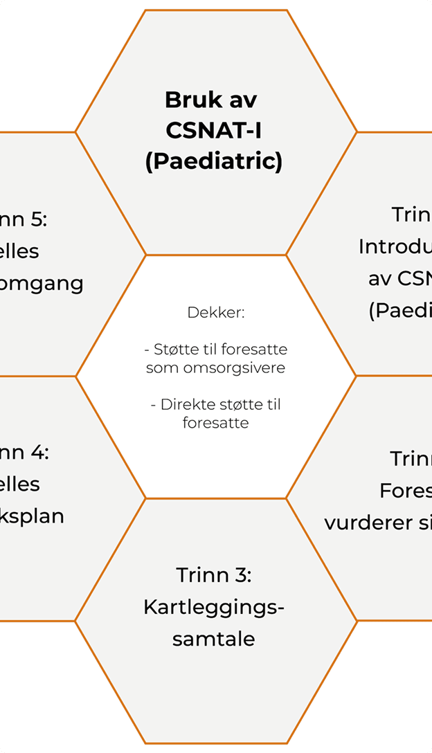Sekskant-diagram som viser trinnene i CSNAT-I-rammeverket
