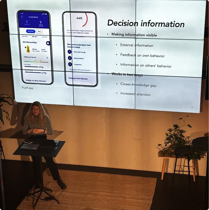 Presentasjon av beslutningsinformasjon fra workshop